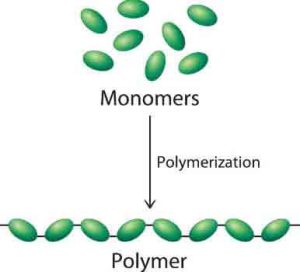 Polyme được tạo nên từ các Monome