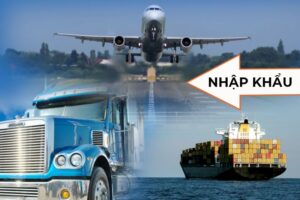 04 Nội Dung Quan Trọng Của Thủ Tục Nhập Khẩu Máy Đóng Gói
