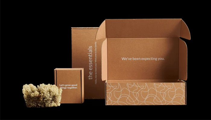 Nên sử dụng loại thùng carton nào?