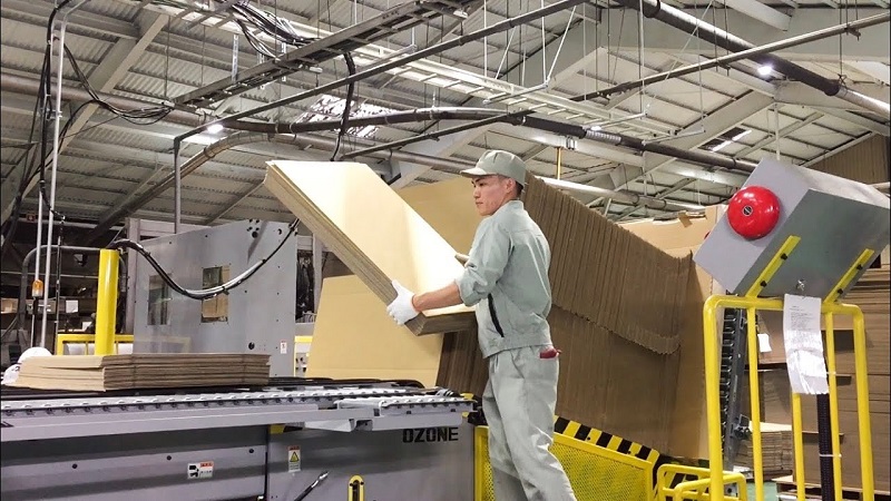 Sóng giấy thùng carton được tạo ra như thế nào?