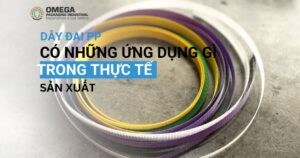 Những ứng dụng của dây đai pp trong thực tế